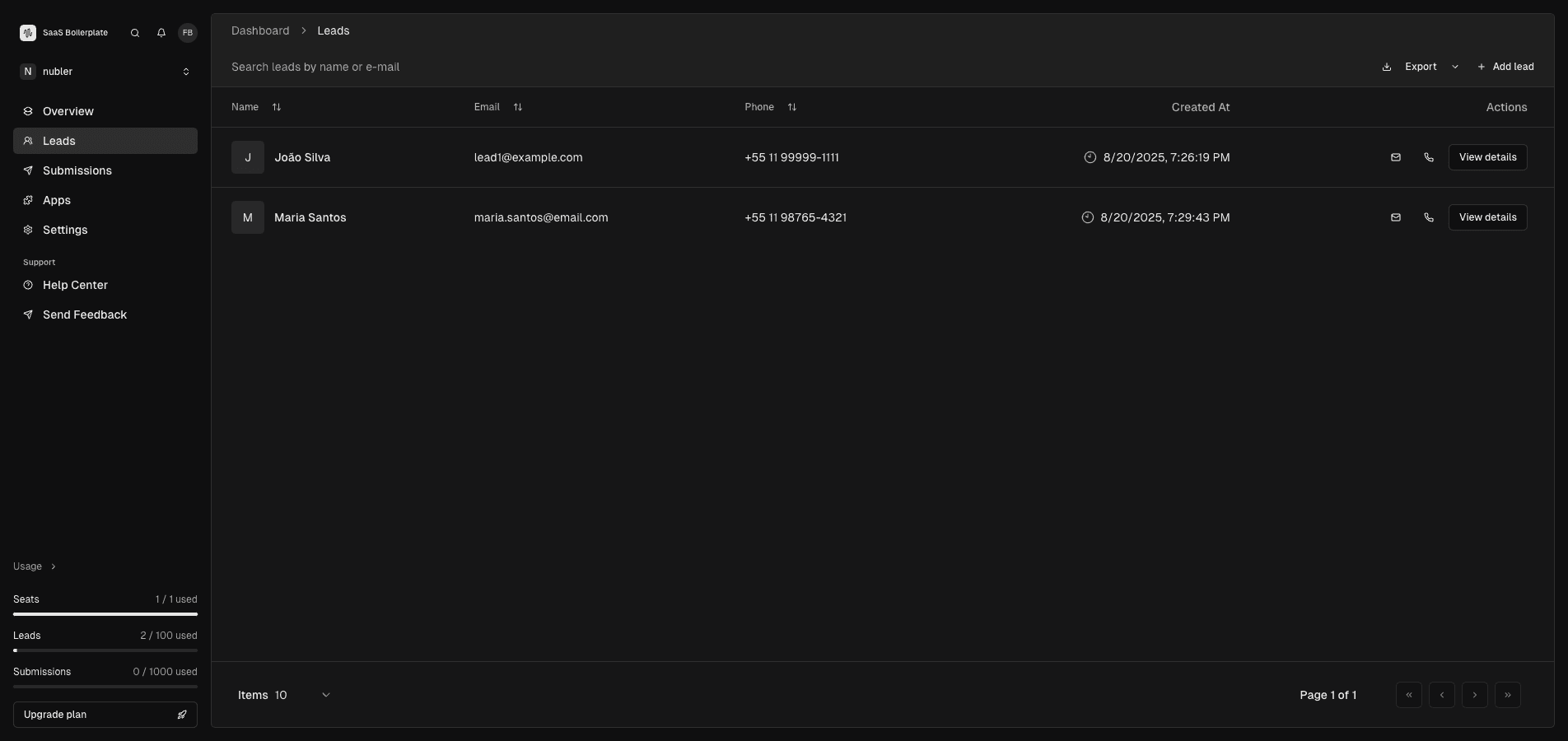 Leads page showing a comprehensive table of business contacts with search and management tools.